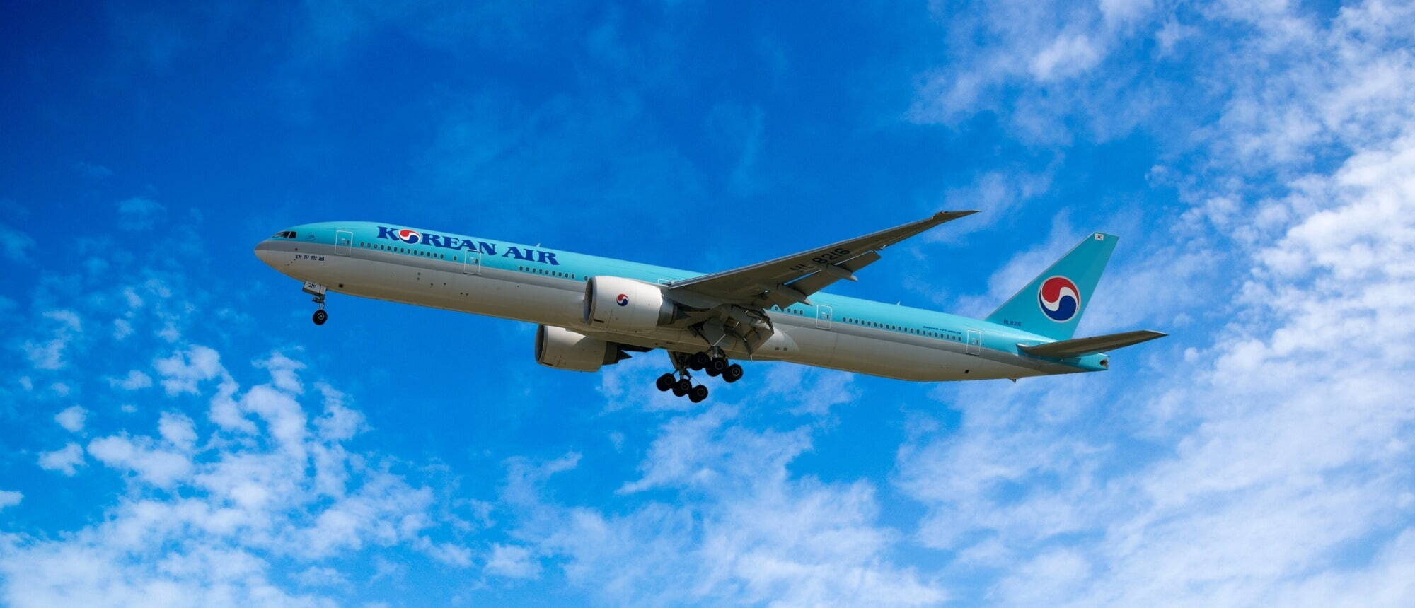 Pilot Korean Air B777 Aircraft