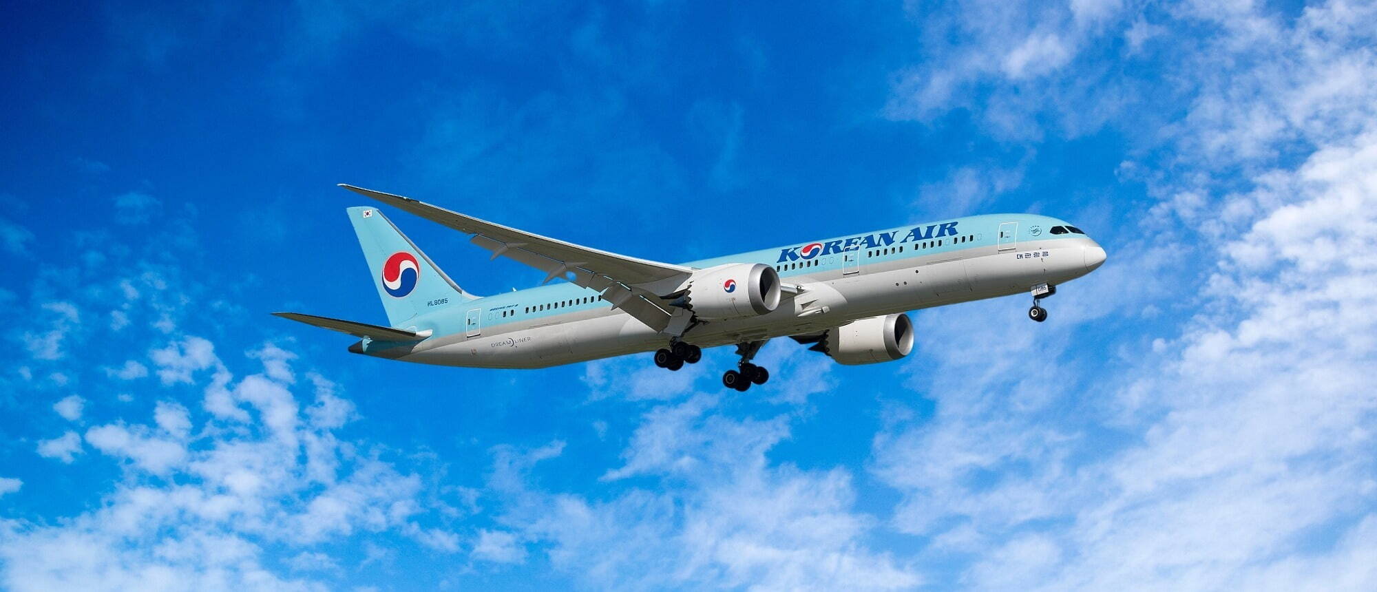 Pilot Korean Air B787 Aircraft